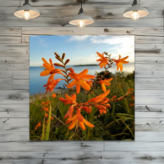 Metal Wall Art Prints. Pladda Island View. Isle of Arran. Scotland.