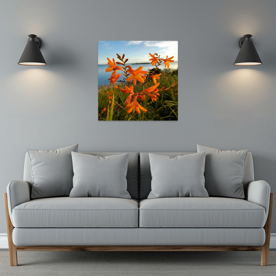 Metal Wall Art Prints. Pladda Island View. Isle of Arran. Scotland.
