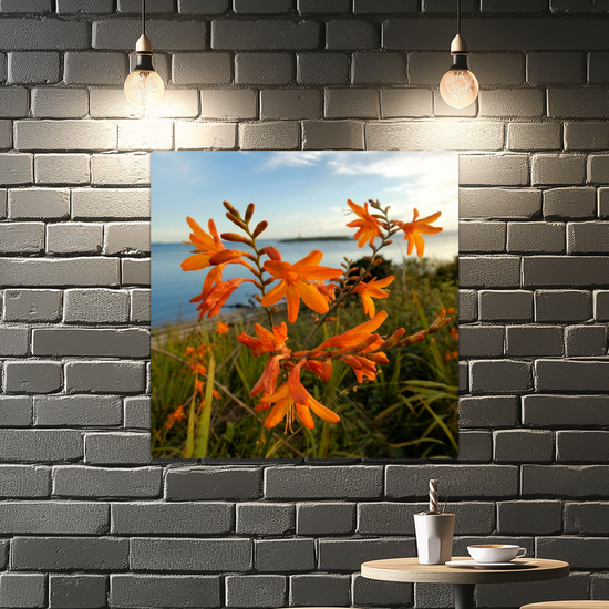 Metal Wall Art Prints. Pladda Island View. Isle of Arran. Scotland.