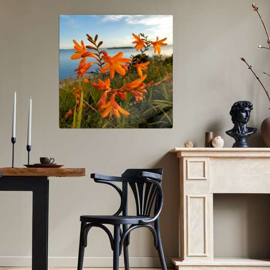 Metal Wall Art Prints. Pladda Island View. Isle of Arran. Scotland.