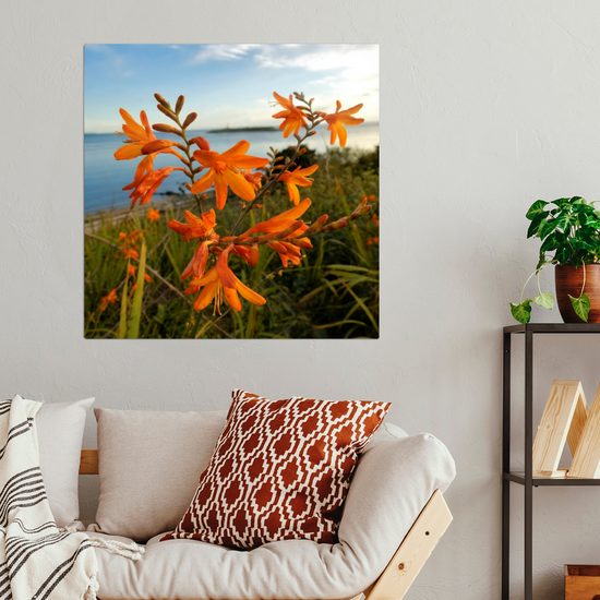 Metal Wall Art Prints. Pladda Island View. Isle of Arran. Scotland.