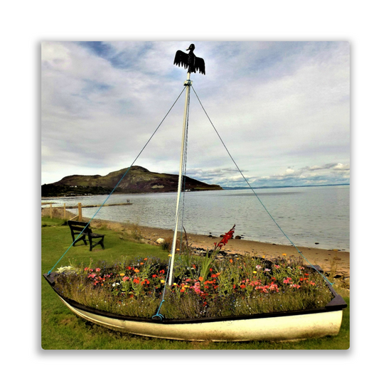 Metal Wall Art Prints.  Holy Isle View. Isle of Arran. Scotland.