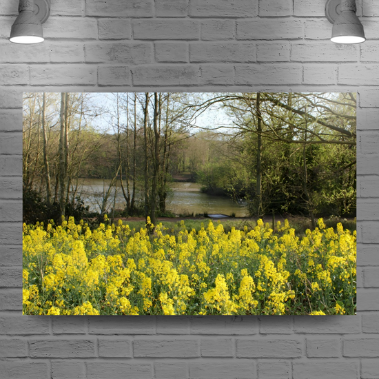 Giclée Mounted Wall Art Prints. Langhold Country Park. Nottinghamshire. England.