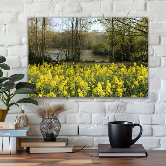 Giclée Mounted Wall Art Prints. Langhold Country Park. Nottinghamshire. England.