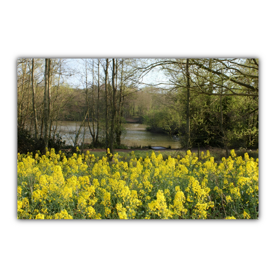 Giclée Mounted Wall Art Prints. Langhold Country Park. Nottinghamshire. England.