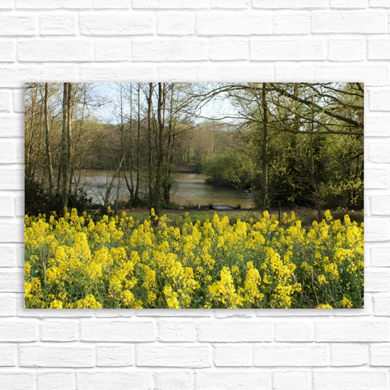 Giclée Mounted Wall Art Prints. Langhold Country Park. Nottinghamshire. England.