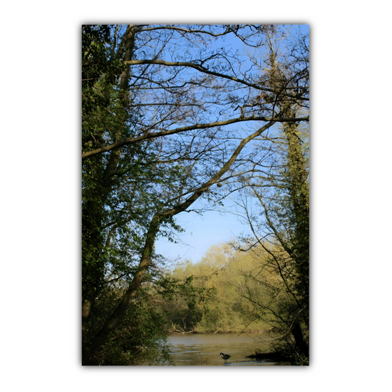 Giclée Mounted Wall Art Prints. Langhold Country Park. Nottinghamshire. England.
