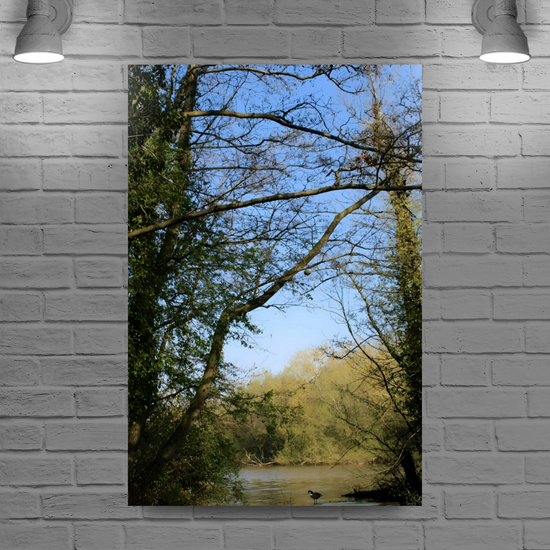 Giclée Mounted Wall Art Prints. Langhold Country Park. Nottinghamshire. England.