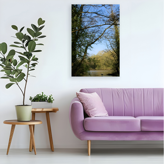 Giclée Mounted Wall Art Prints. Langhold Country Park. Nottinghamshire. England.