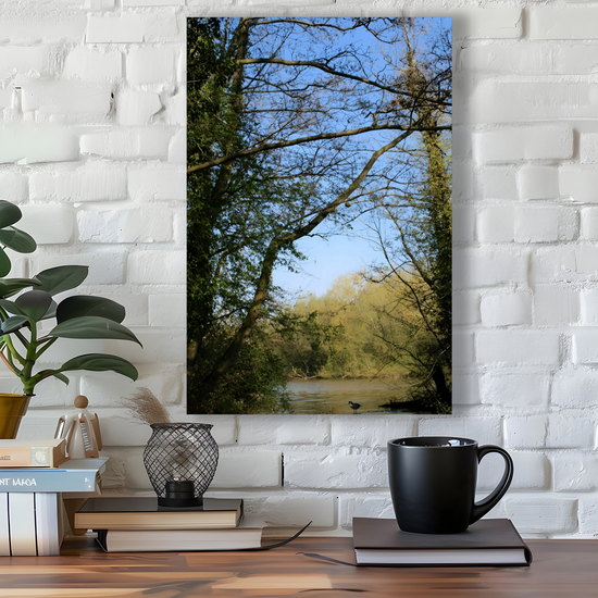 Giclée Mounted Wall Art Prints. Langhold Country Park. Nottinghamshire. England.