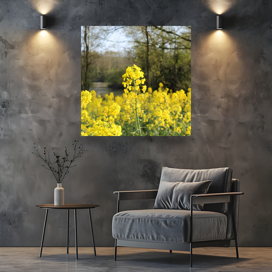 Giclée Mounted Wall Art Prints. Langhold Country Park. Nottinghamshire. England.
