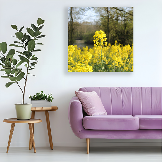 Giclée Mounted Wall Art Prints. Langhold Country Park. Nottinghamshire. England.