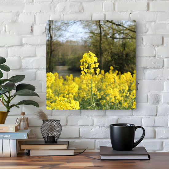 Giclée Mounted Wall Art Prints. Langhold Country Park. Nottinghamshire. England.