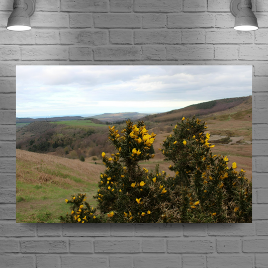 Giclée Mounted Wall Art Prints. Roseberry Topping. North Yorkshire Moors National Park. England.