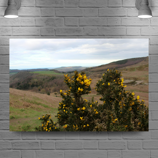 Giclée Mounted Wall Art Prints. Roseberry Topping. North Yorkshire Moors National Park. England.