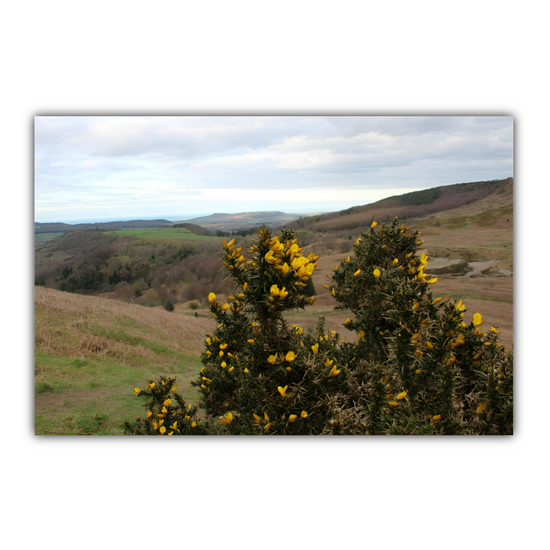 Giclée Mounted Wall Art Prints. Roseberry Topping. North Yorkshire Moors National Park. England.
