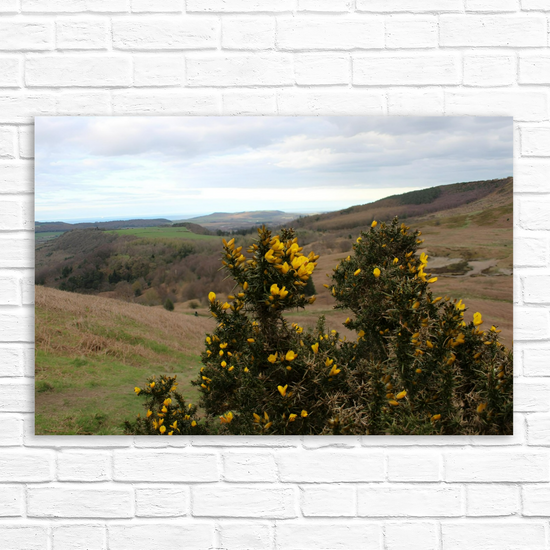 Giclée Mounted Wall Art Prints. Roseberry Topping. North Yorkshire Moors National Park. England.