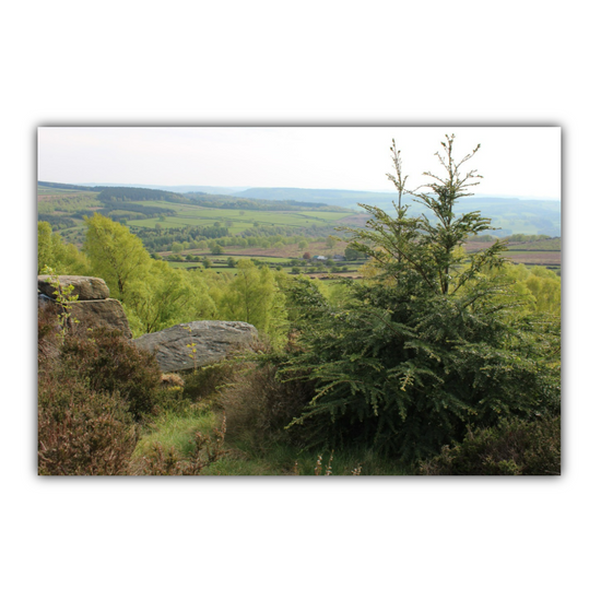 Giclée Mounted Wall Art Prints. Birchen Edge. Peak District National Park. England.