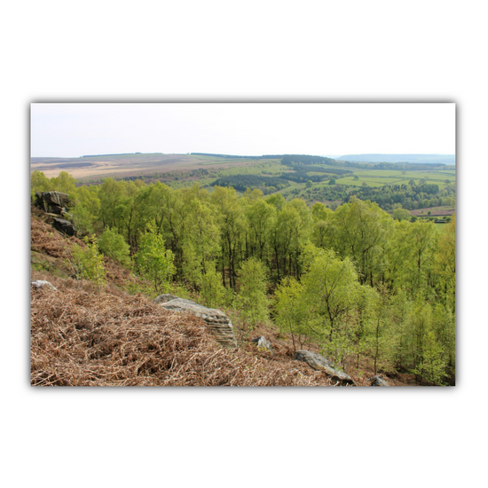 Giclée Mounted Wall Art Prints. Birchen Edge. Peak District National Park. England.