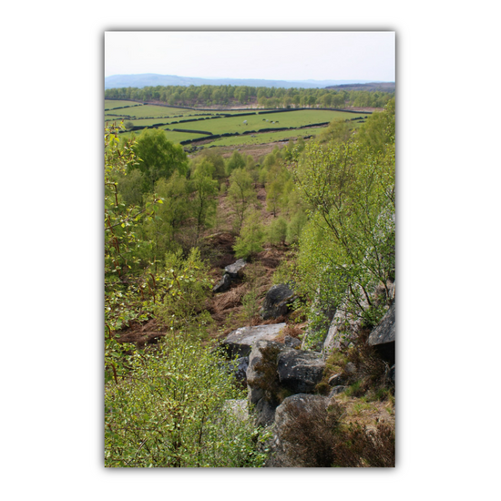 Giclée Mounted Wall Art Prints. Birchen Edge. Peak District National Park. England.