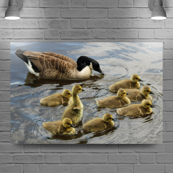 Giclée Mounted Wall Art Prints. Todmorden. The Rochdale Canal. West Yorkshire. England.