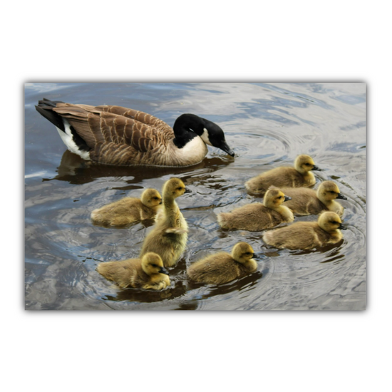 Giclée Mounted Wall Art Prints. Todmorden. The Rochdale Canal. West Yorkshire. England.