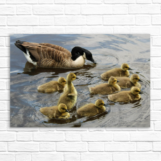 Giclée Mounted Wall Art Prints. Todmorden. The Rochdale Canal. West Yorkshire. England.
