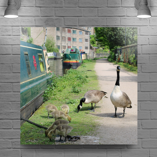 Giclee Mounted Wall Art Prints. Hebden Bridge. The Rochdale Canal. West Yorkshire. England.
