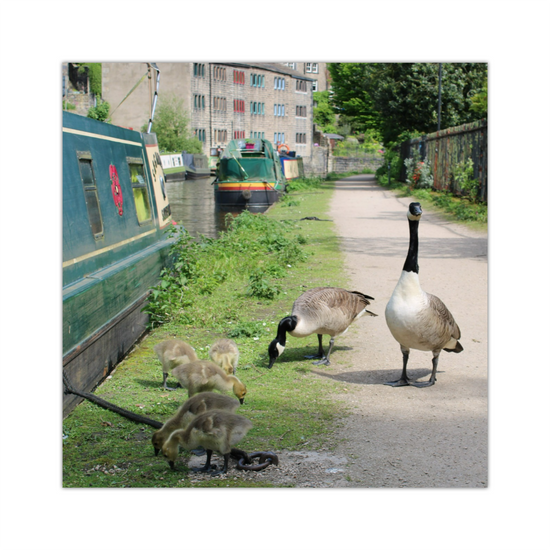 Giclee Mounted Wall Art Prints. Hebden Bridge. The Rochdale Canal. West Yorkshire. England.