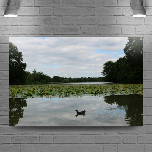 Giclée Mounted Wall Art Prints. Greasbrough Dam. Wentworth Estates. Rotherham. South Yorkshire. England.
