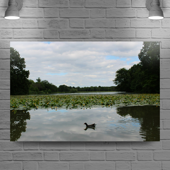 Giclée Mounted Wall Art Prints. Greasbrough Dam. Wentworth Estates. Rotherham. South Yorkshire. England.