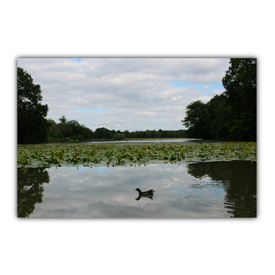 Giclée Mounted Wall Art Prints. Greasbrough Dam. Wentworth Estates. Rotherham. South Yorkshire. England.