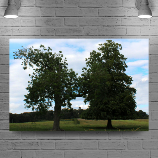Giclee Mounted Wall Art Prints. Wentworth Estates. Rotherham. South Yorkshire. England.