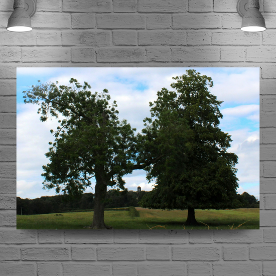 Giclee Mounted Wall Art Prints. Wentworth Estates. Rotherham. South Yorkshire. England.