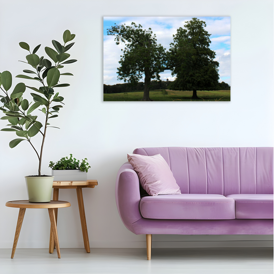 Giclee Mounted Wall Art Prints. Wentworth Estates. Rotherham. South Yorkshire. England.
