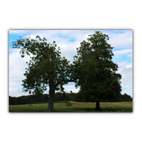 Giclee Mounted Wall Art Prints. Wentworth Estates. Rotherham. South Yorkshire. England.