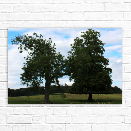 Giclee Mounted Wall Art Prints. Wentworth Estates. Rotherham. South Yorkshire. England.