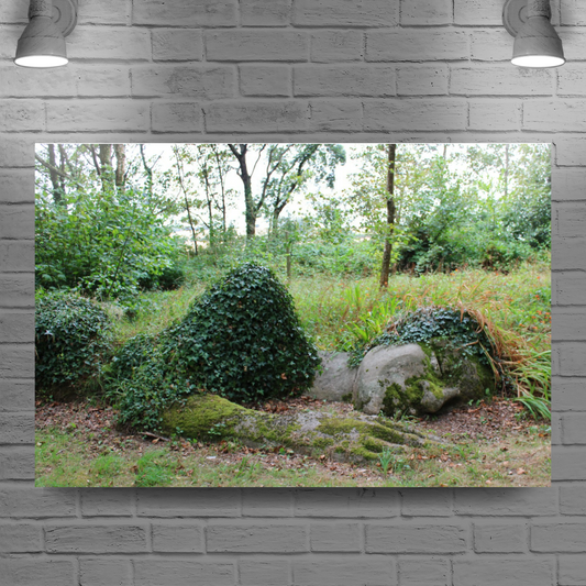 Giclee Mounted Wall Art Prints. The Lost Gardens of Heligan. Pentewan. St. Austell. Cornwall. England.