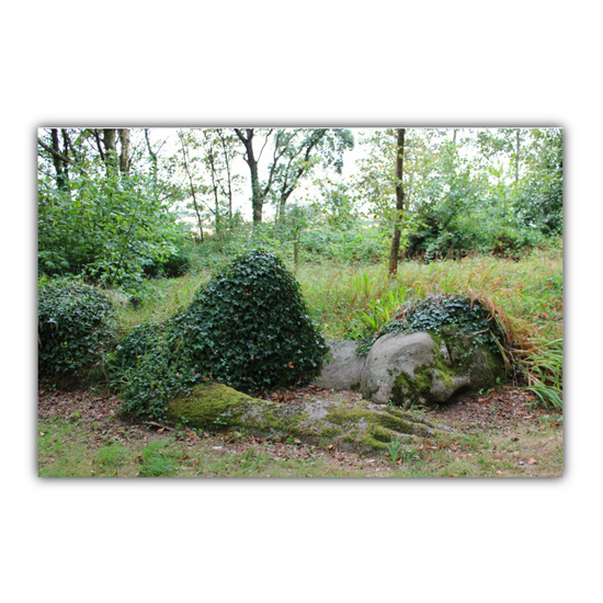 Giclee Mounted Wall Art Prints. The Lost Gardens of Heligan. Pentewan. St. Austell. Cornwall. England.