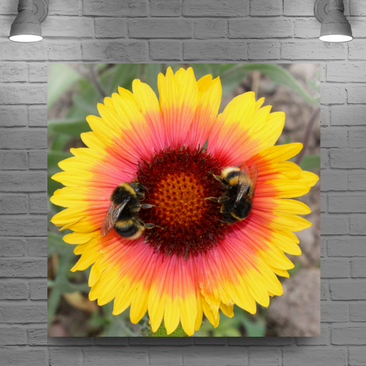 Giclee Mounted Wall Art Prints. The Lost Gardens Of Heligan. Pentewan. St. Austell. Cornwall. England.