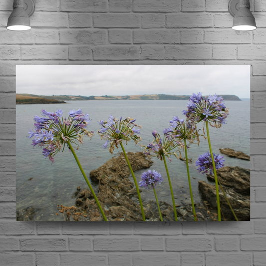 Giclee Mounted Wall Art Prints. Portscatho. Cornwall. England.