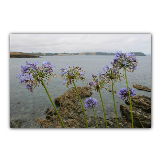 Giclee Mounted Wall Art Prints. Portscatho. Cornwall. England.