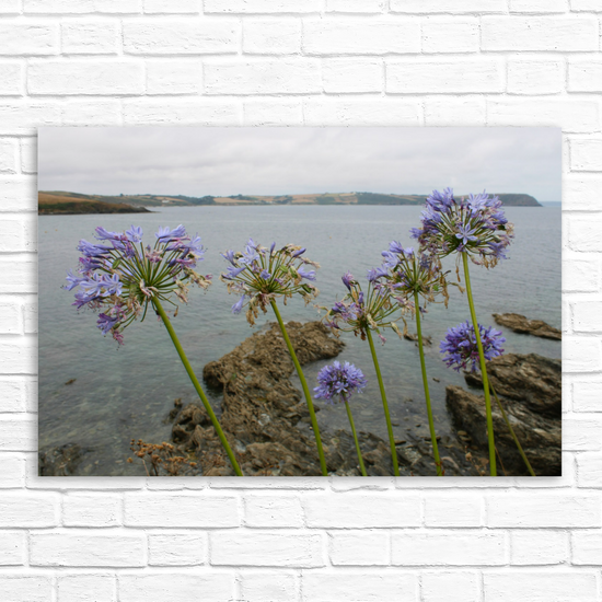 Giclee Mounted Wall Art Prints. Portscatho. Cornwall. England.