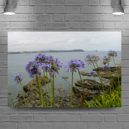 Giclee Mounted Wall Art Prints. Portscatho. Cornwall. England.