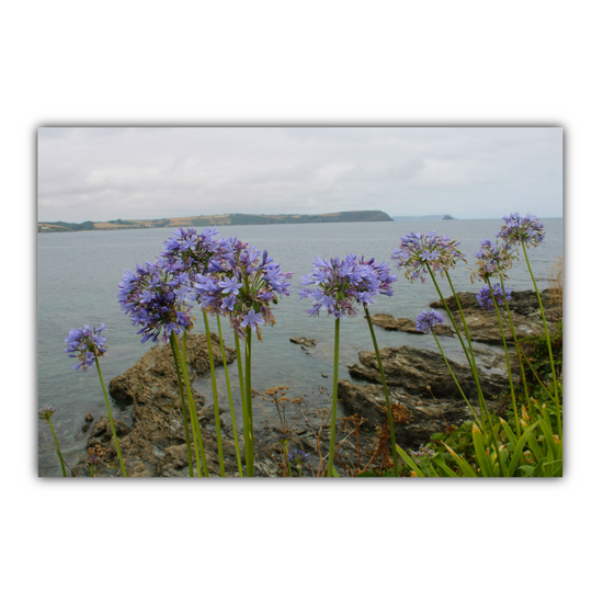 Giclee Mounted Wall Art Prints. Portscatho. Cornwall. England.