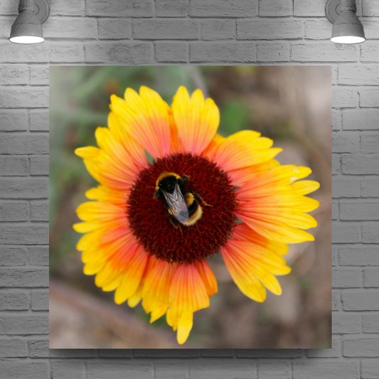 Giclee Mounted Wall Art Prints. The Lost Gardens of Heligan. Pentewan. St. Austell. Cornwall. England.