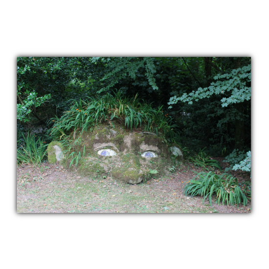 Giclee Mounted Wall Art Prints. The Lost Gardens of Heligan. Pentewan. St. Austell. Cornwall. England.