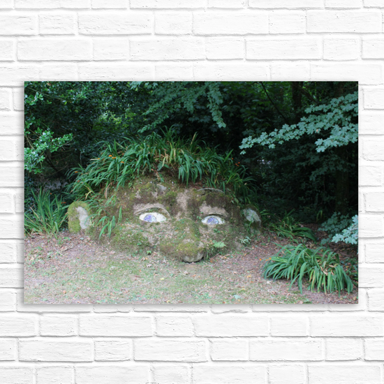 Giclee Mounted Wall Art Prints. The Lost Gardens of Heligan. Pentewan. St. Austell. Cornwall. England.