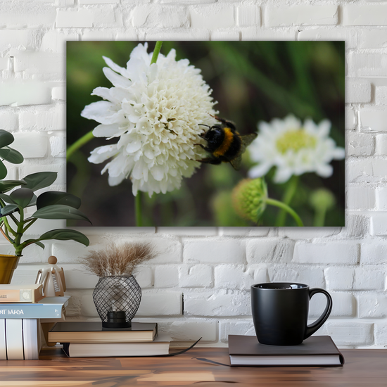 Giclee Mounted Wall Art Prints. The Lost Gardens of Heligan. Pentewan. St. Austell. Cornwall. England.