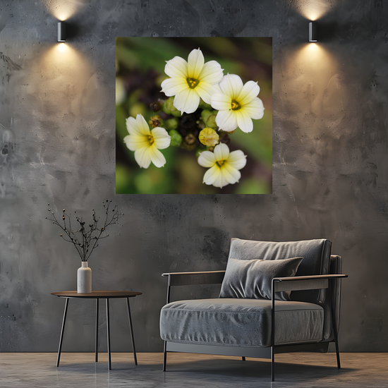 Giclee Mounted Wall Art Prints. Pale Yellow Eyed Grass Flowers. The Lost Gardens of Heligan. Pentewan. St. Austell. Cornwall. England.